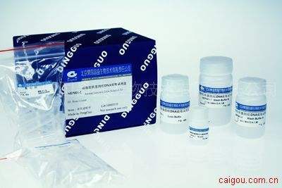 动物组织基因组DNA提取试剂盒