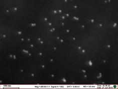 水溶性球形金纳米颗粒