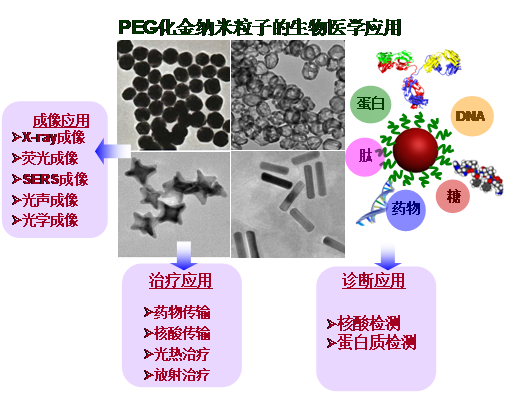 PEG化球形金纳米颗粒
