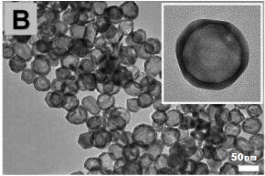 其他金纳米材料