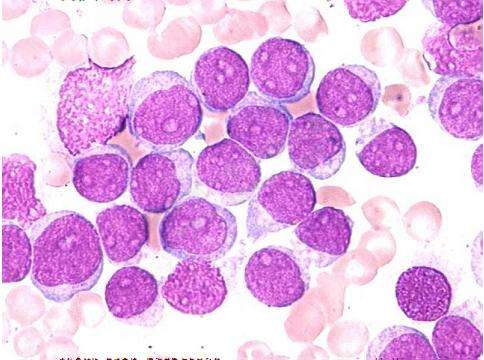 细胞转染是细胞生物学和分子生物学的一种常用的技术手段