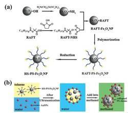 磁纳米材料表面修饰服务